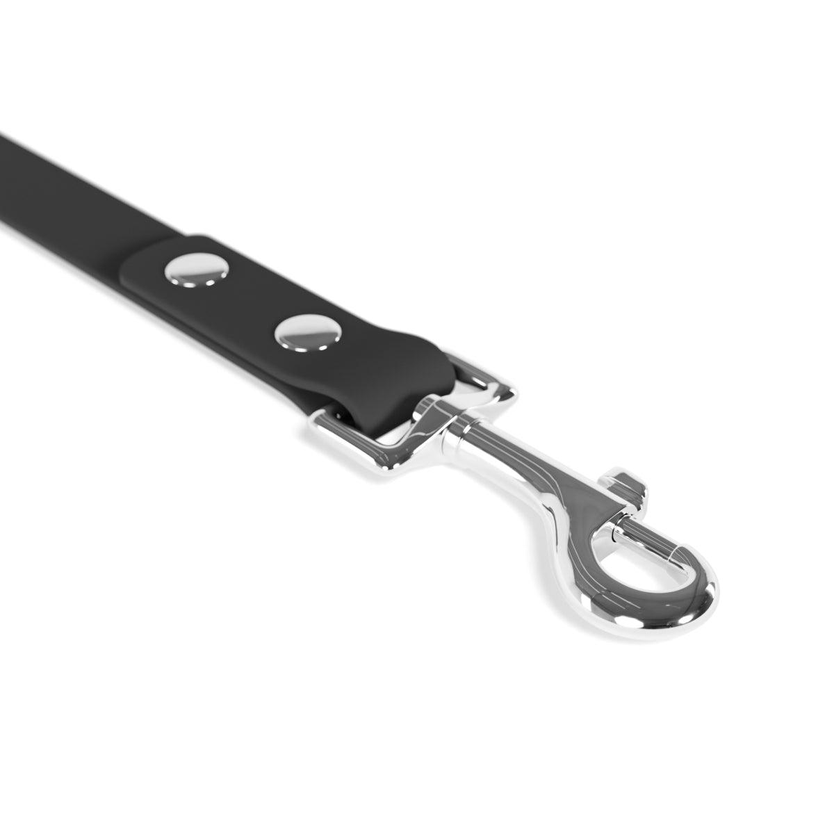 Riffs & Rescues Dog Leash