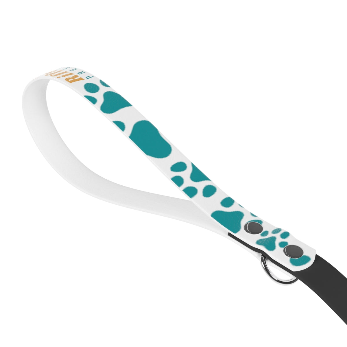 Riffs & Rescues Dog Leash